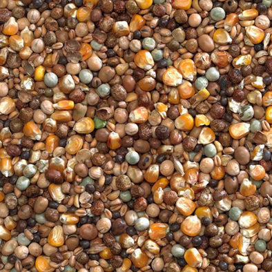 Bucktons High Protein Economy Pigeon Food 20kg