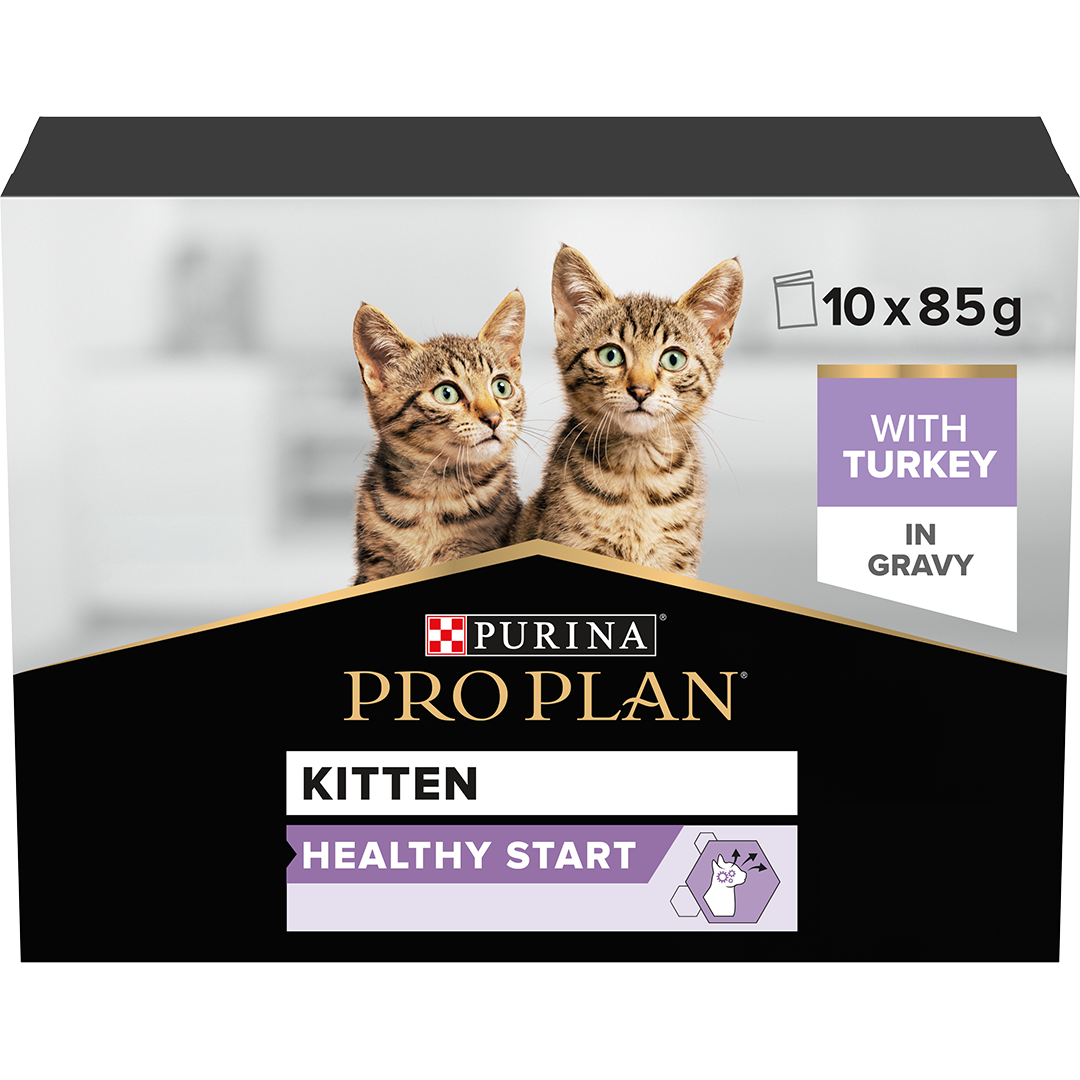 Pro Plan Kitten Healthy Start Turkey in Gravy Wet Cat Food 10 x 85g