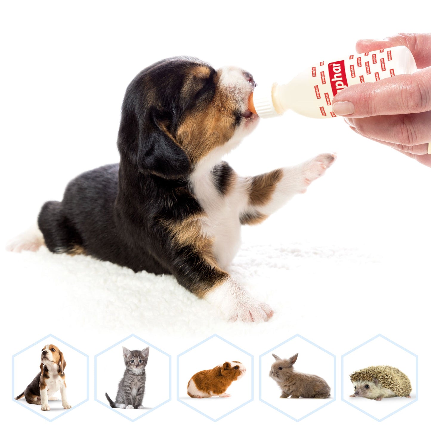 Beaphar Lactol Milk Replacer Bottle & Teats for Kittens & Puppies