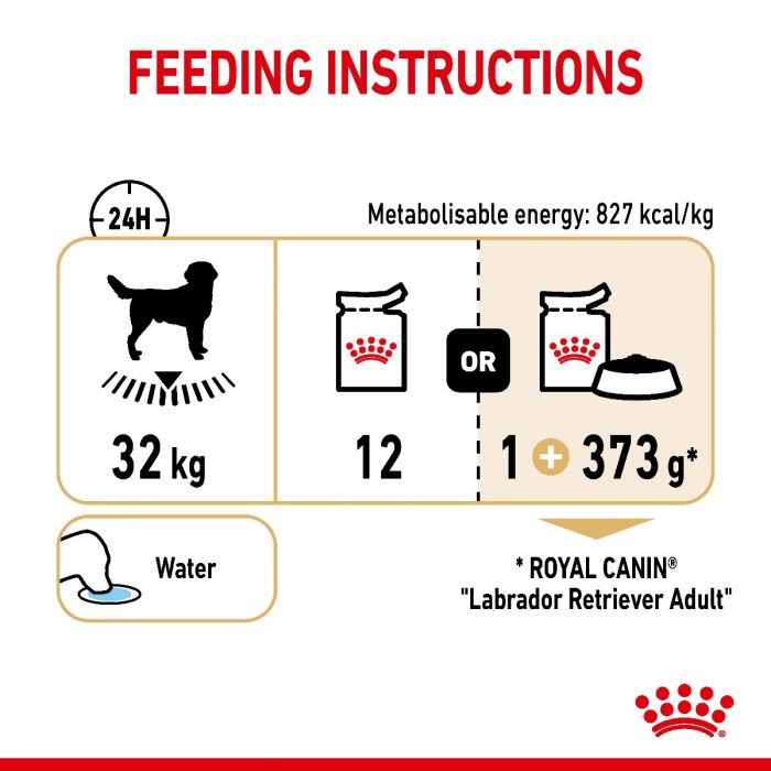 Royal Canin Adult Labrador Retriever Chunks In Gravy Wet Dog Food
