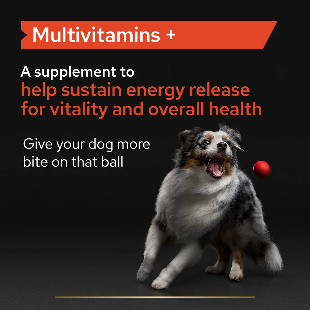 Pro Plan Adult and Senior Multivitamins Dog Supplement 90 Tablets