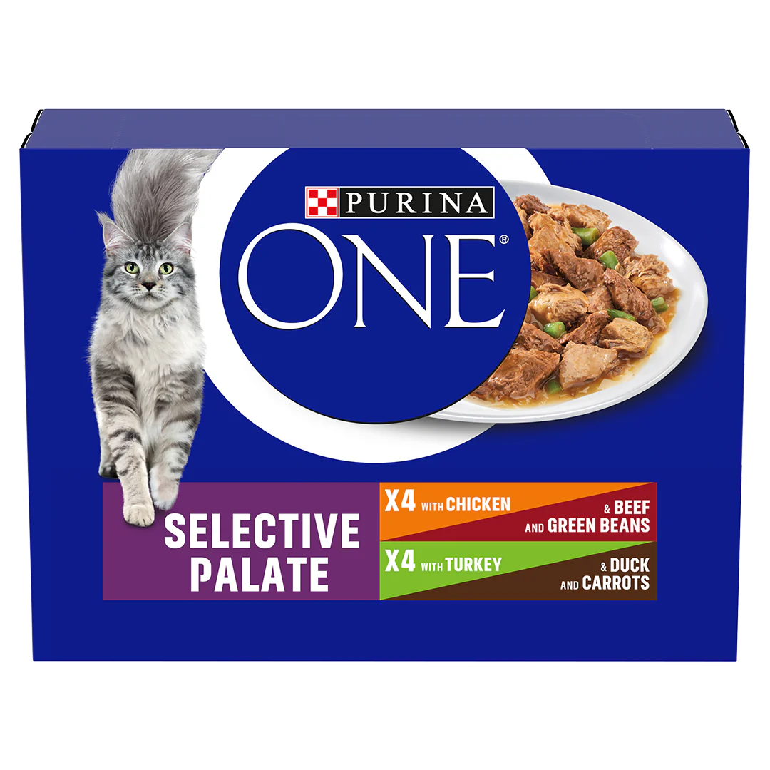 Purina One Adult Mini Fillets Selective Palate Wet Cat Food 8x 85g