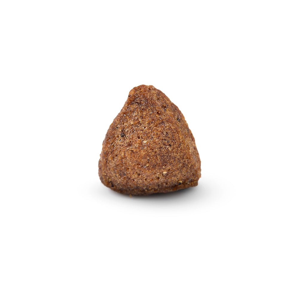 Arden Grange Adult Pork with Rice Dry Dog Food