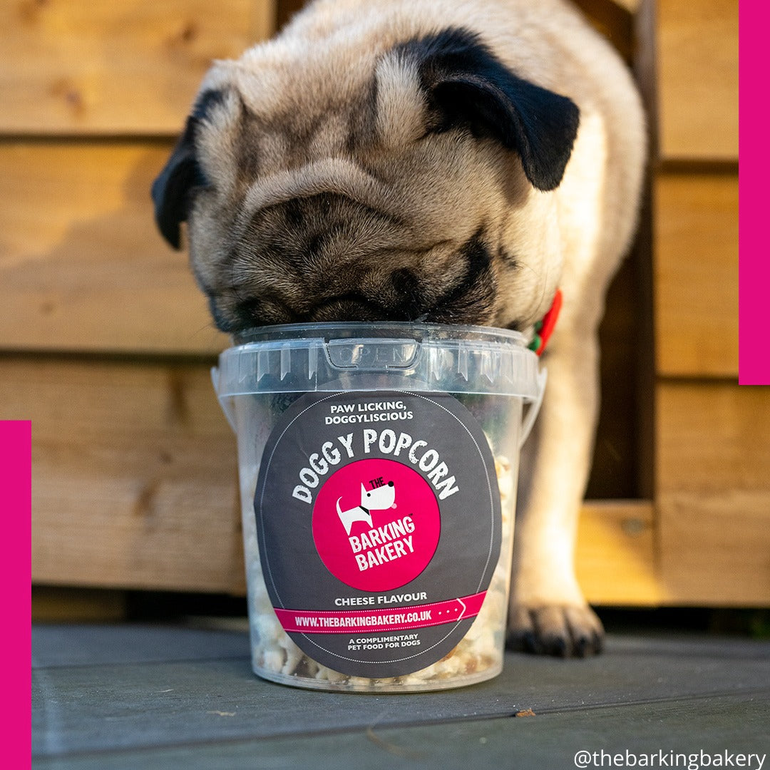 Barking Bakery Doggy Cheesey Popcorn Tub