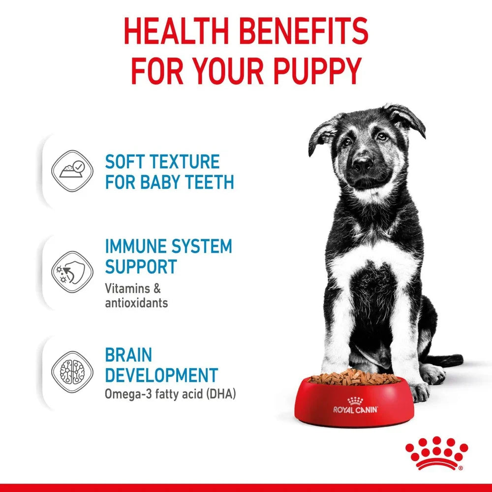 Royal Canin Puppy Maxi Chunks In Gravy Wet Dog Food
