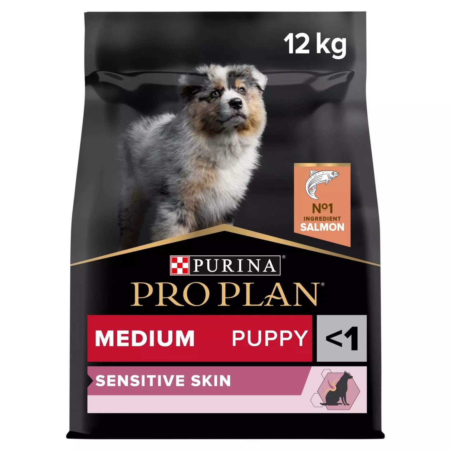 Pro Plan Medium Puppy Sensitive Skin Salmon Dry Dog Food