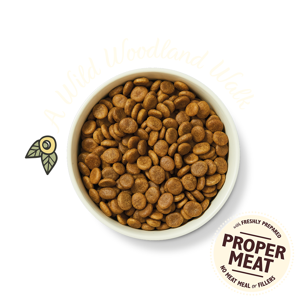 Lily's Kitchen Adult Wild Woodland Walk Duck/Salmon & Venison Dry Dog Food
