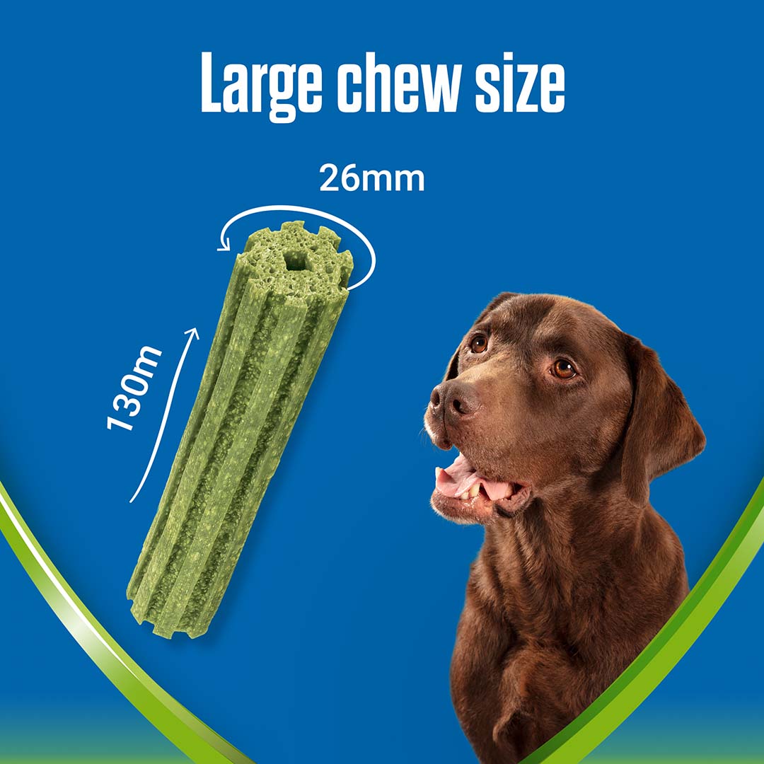 Dentalife ActivFresh Large Dog Treat Dental Chew 4 Sticks