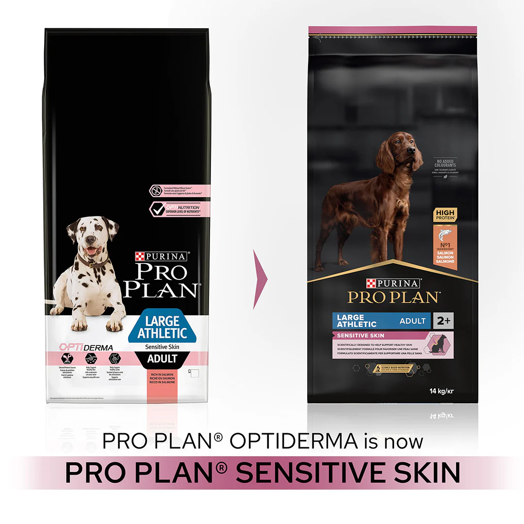 Pro Plan Adult Large Athletic Sensitive Skin Salmon Dry Dog Food 14kg