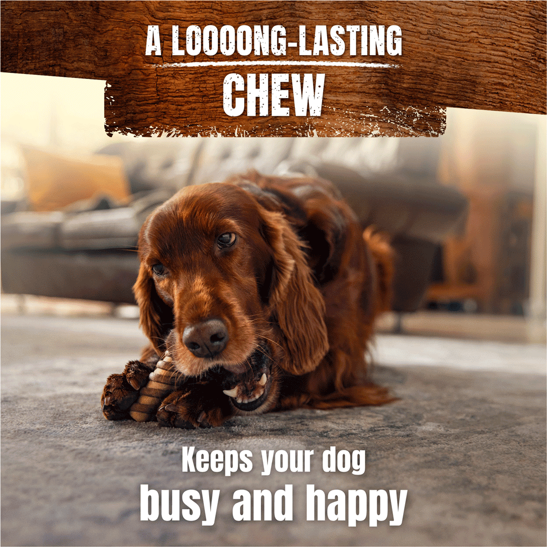 Adventuros Wild Chew Medium Venison Dog Treats 200g