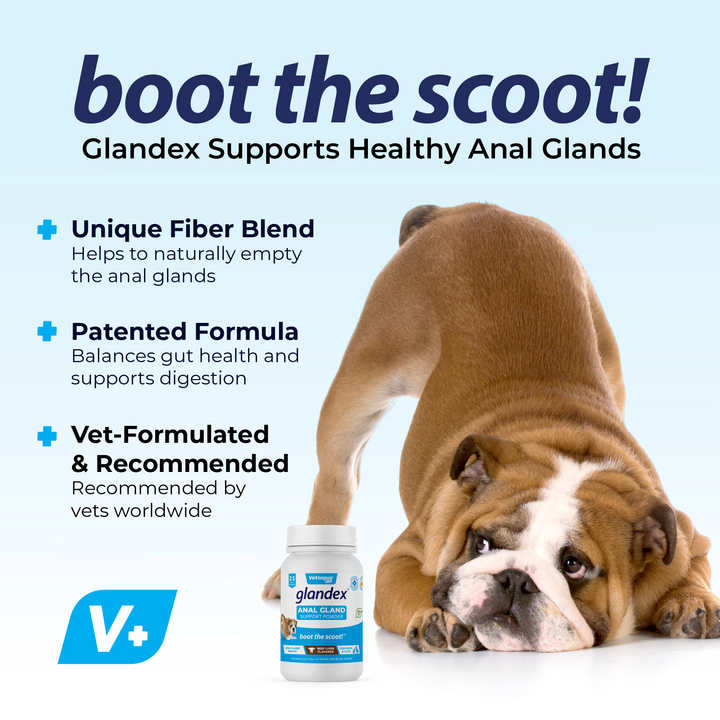 Vetnique Labs Glandex Anal Gland Powder Supplement for Dogs & Cats with Pumpkin 70g