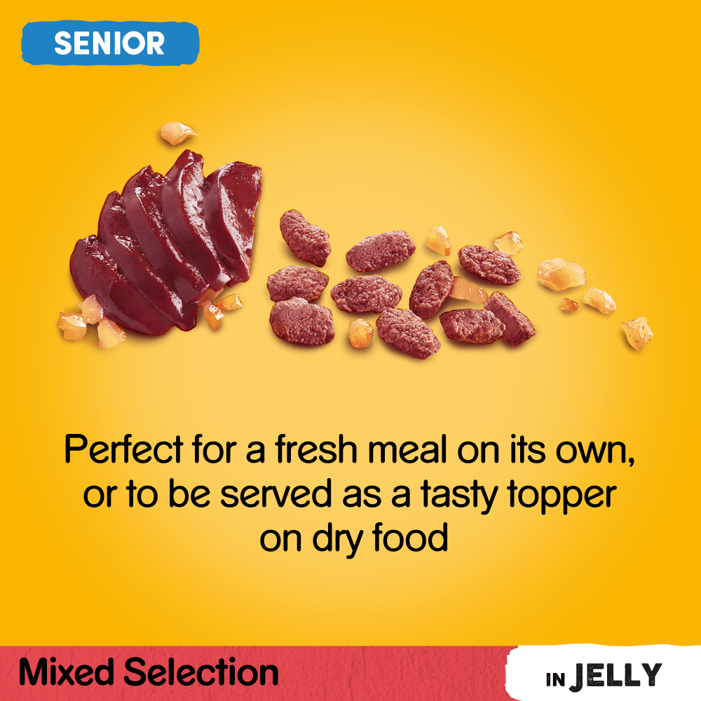 Pedigree Senior Mixed Selection in Jelly Wet Dog Food 12 x 100g