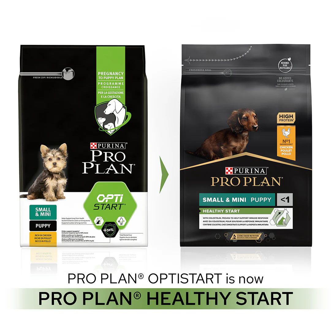 Pro Plan Small and Mini Puppy Healthy Start Chicken Dry Dog Food