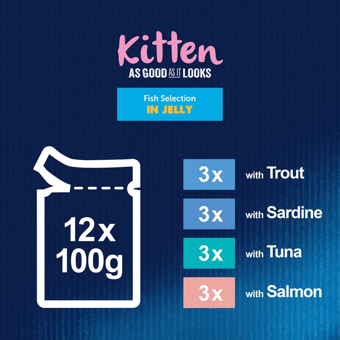 Felix As Good As it Looks Kitten Fish Selection in Jelly Wet Cat Food 12 x 100g