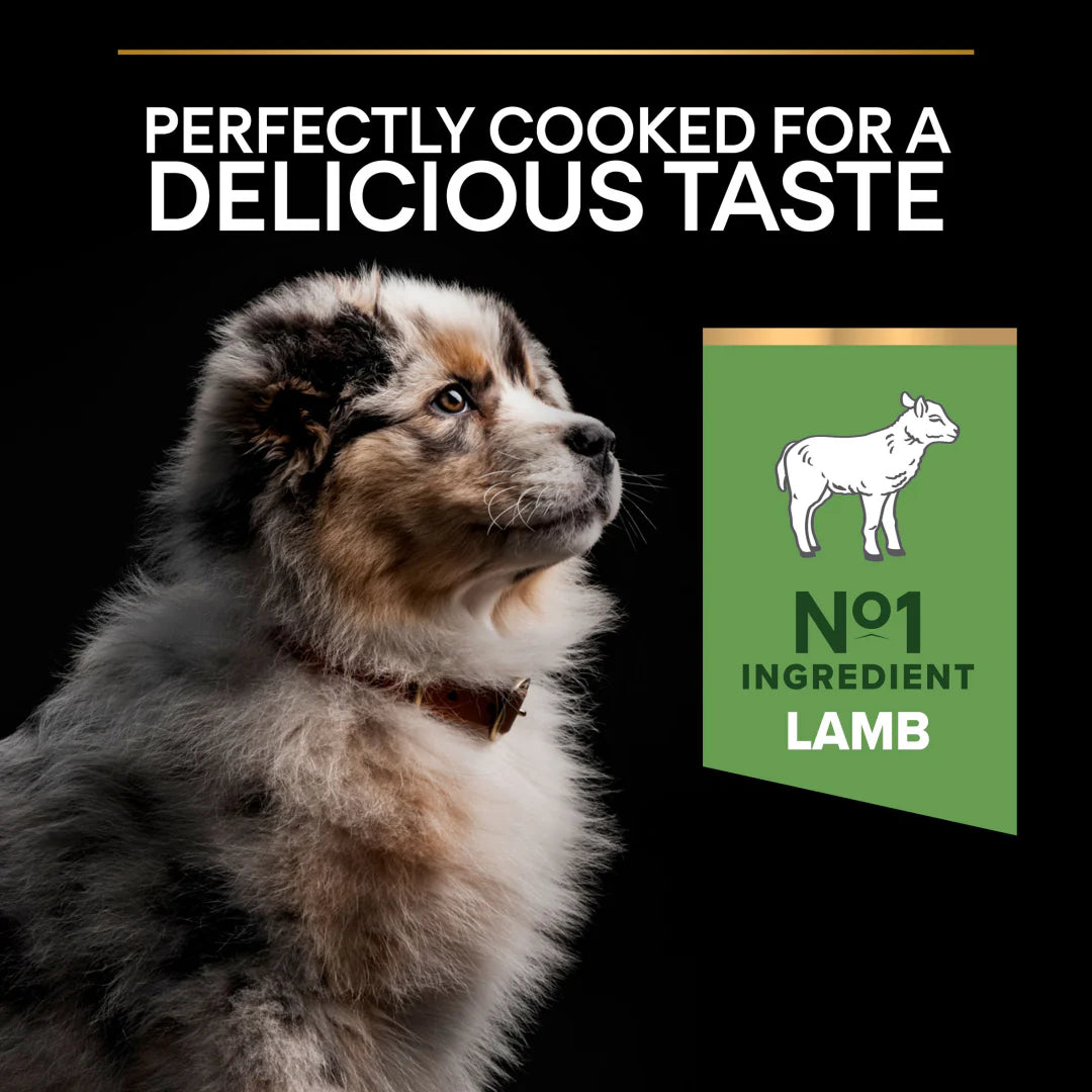 Pro Plan Medium Puppy Sensitive Digestion Lamb Dry Dog Food