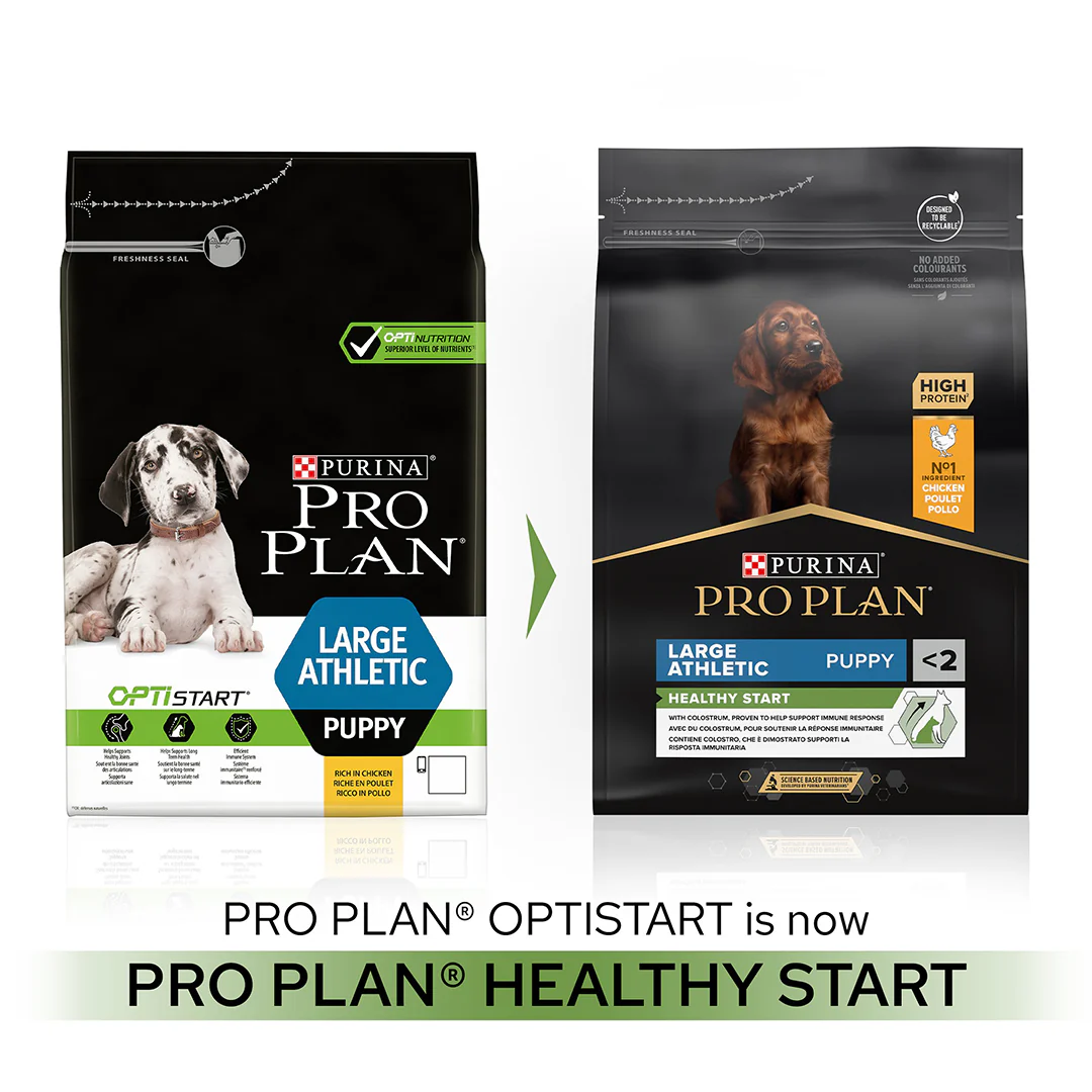 Pro Plan Large Athletic Puppy Healthy Start Chicken Dry Dog Food