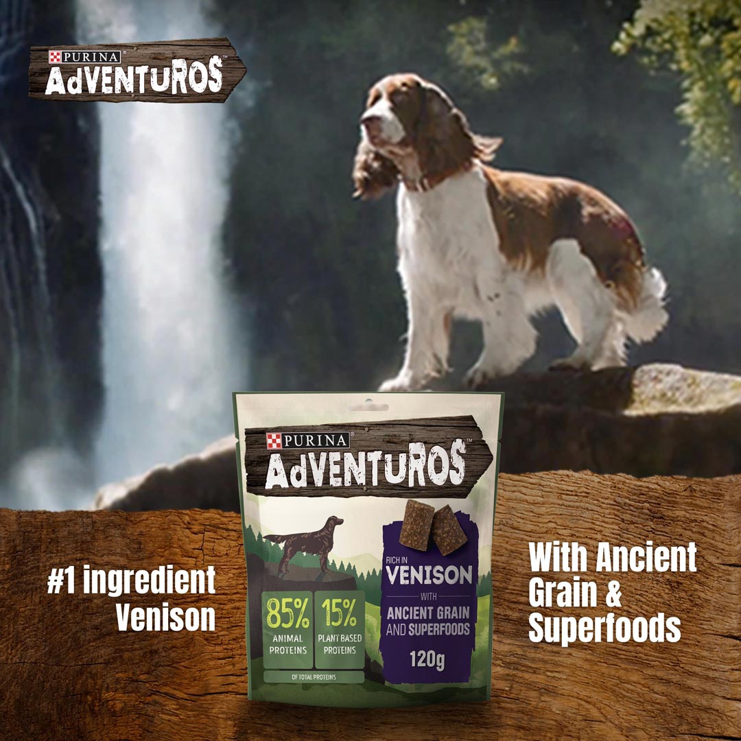 Adventuros Ancient Grain and Superfoods Rich in Venison Dog Treats 120g