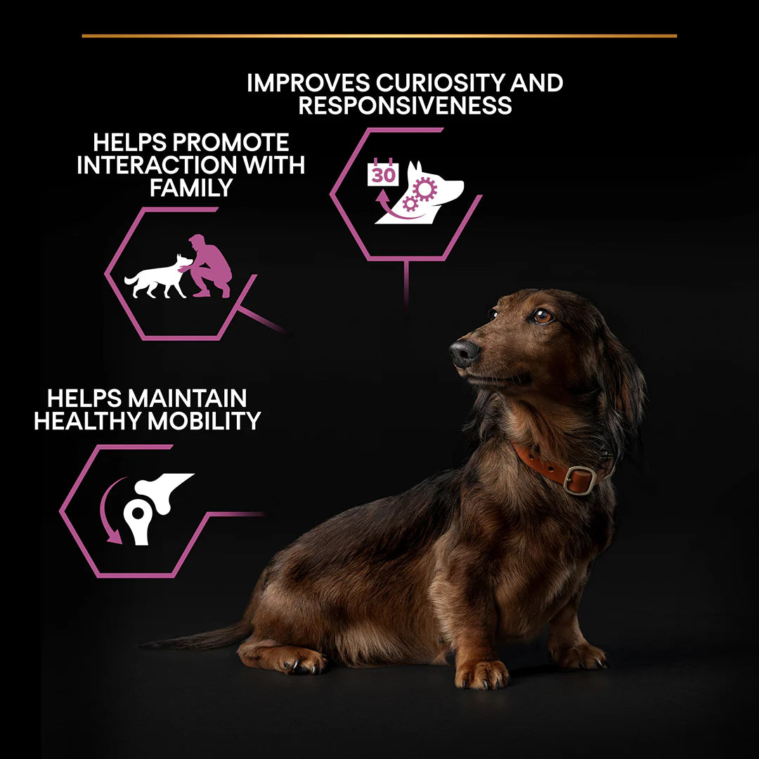 Pro Plan Small and Mini Adult 9+ Senior Age Defence Chicken Dry Dog Food 3kg