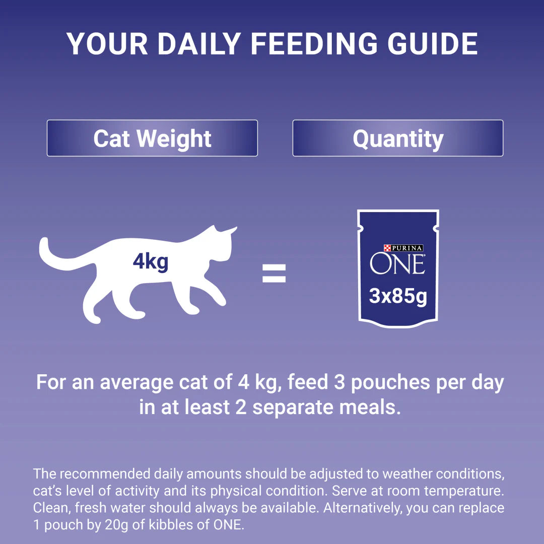 Purina One Adult Mini Fillets Mixed Selection in Gravy Wet Cat Food 40 x 85g