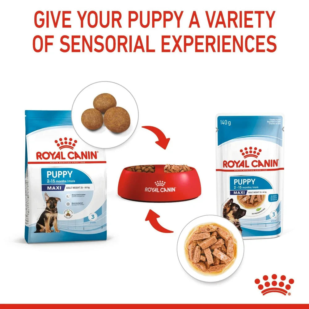 Royal Canin Puppy Maxi Chunks In Gravy Wet Dog Food