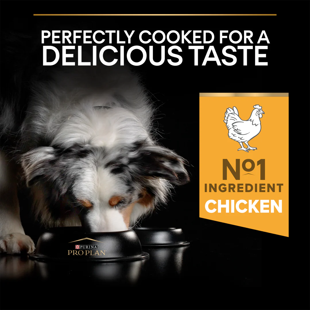Pro Plan Adult All Size Performance Chicken Dry Dog Food 14kg