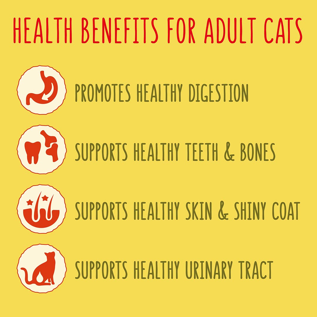 Go Cat Adult Chicken and Duck Dry Cat Food