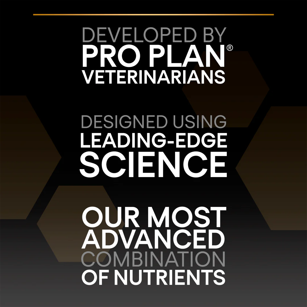 Pro Plan Large Robust Puppy Healthy Start Chicken Dry Dog Food