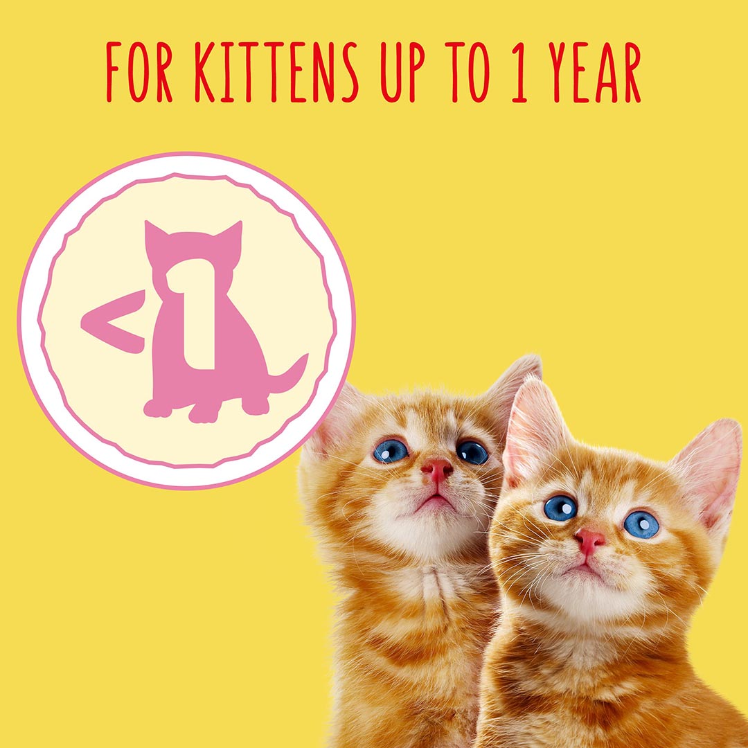 Go Cat Junior Chicken and Milk Dry Cat Food