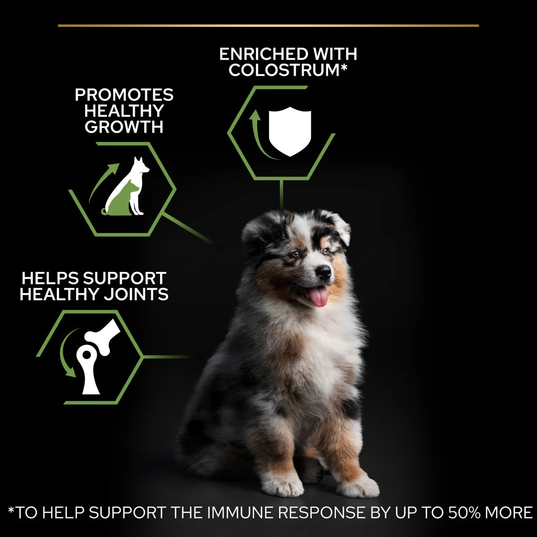 Pro Plan Medium Puppy Healthy Start Chicken Dry Dog Food