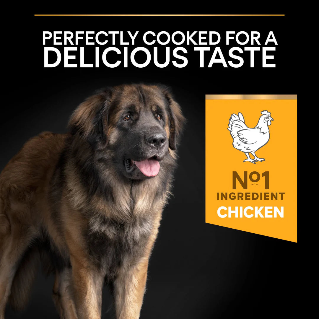 Pro Plan Adult Large Robust Everyday Nutrition Chicken Dry Dog Food 14kg