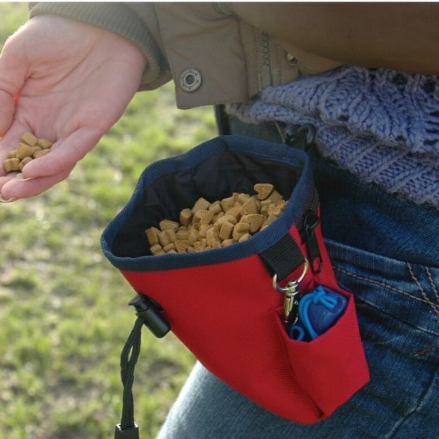 Company Of Animals Dog Treat Bag Purple