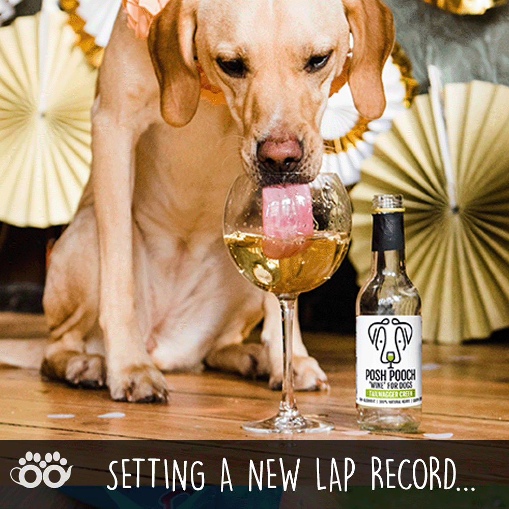 Woof & Brew Posh Pooch Tailwagger Creek Dog Wine 250ml