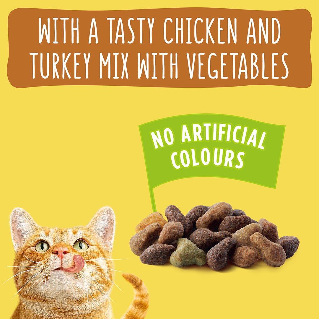 Go Cat Adult Chicken and Turkey Dry Cat Food 320g