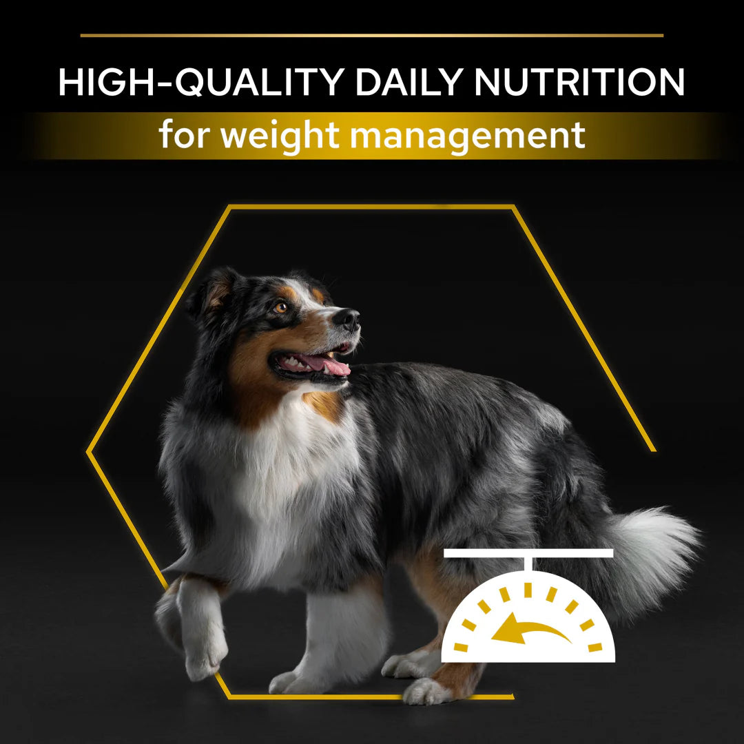 Pro Plan All Size Adult Light Sterilised Chicken Dry Dog Food