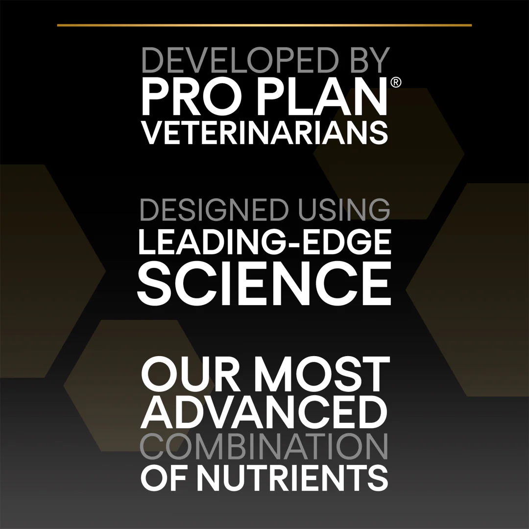 Pro Plan Adult Large Robust Everyday Nutrition Chicken Dry Dog Food 14kg