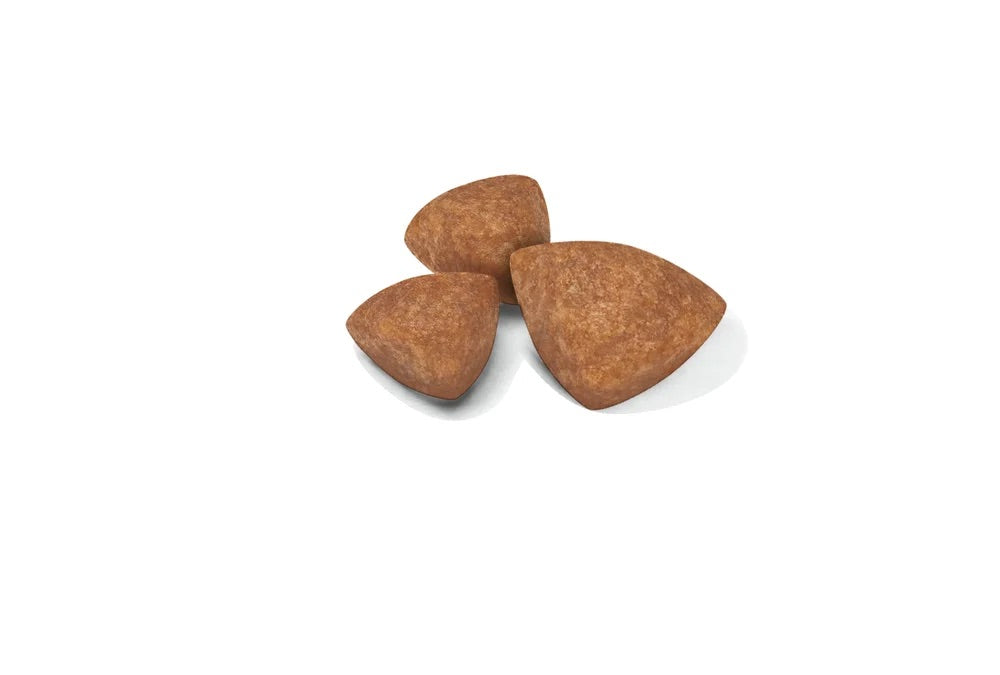 Royal Canin Puppy X-Small Dry Dog Food 1.5kg