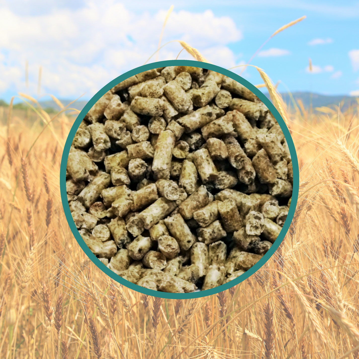 Copdock Mill Range Layers Pellets Poultry Food