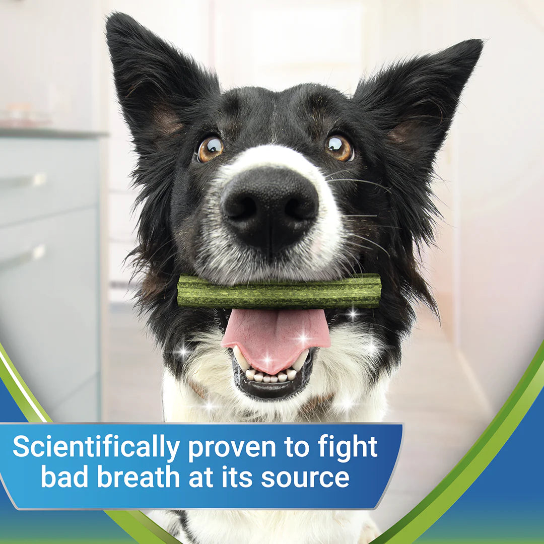 Dentalife ActivFresh Large Dog Treat Dental Chew 4 Sticks