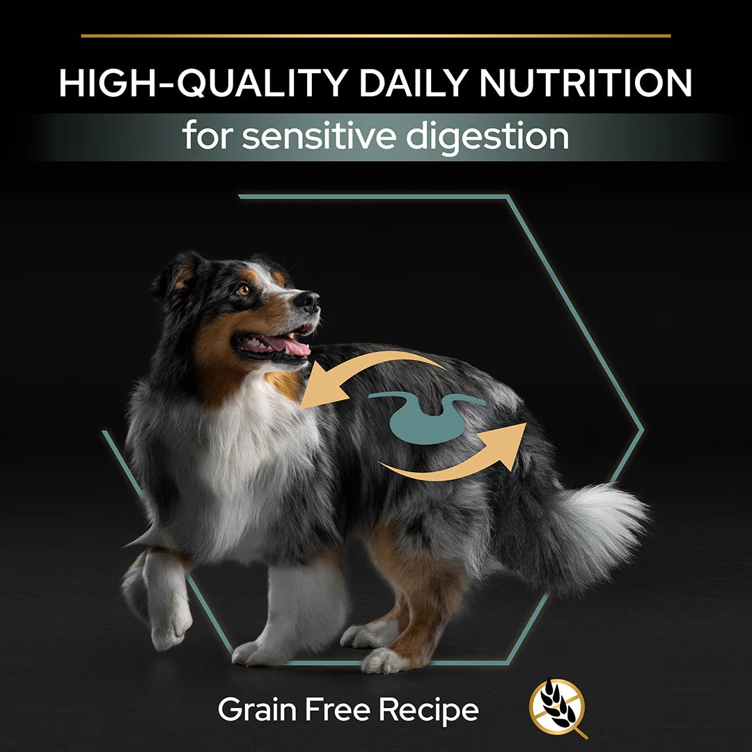 Pro Plan Adult Medium and Large Grain Free Sensitive Digestion Turkey Dry Dog Food 12kg