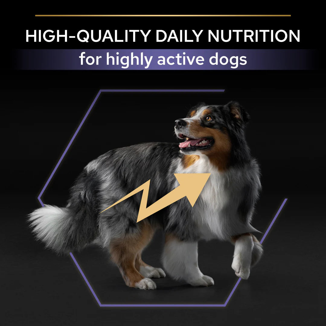 Pro Plan Adult All Size Performance Chicken Dry Dog Food 14kg