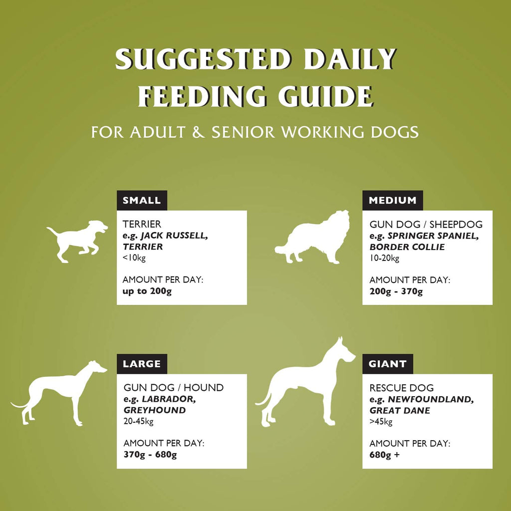 Dr John Hypoallergenic Lamb with Rice Dry Dog Food