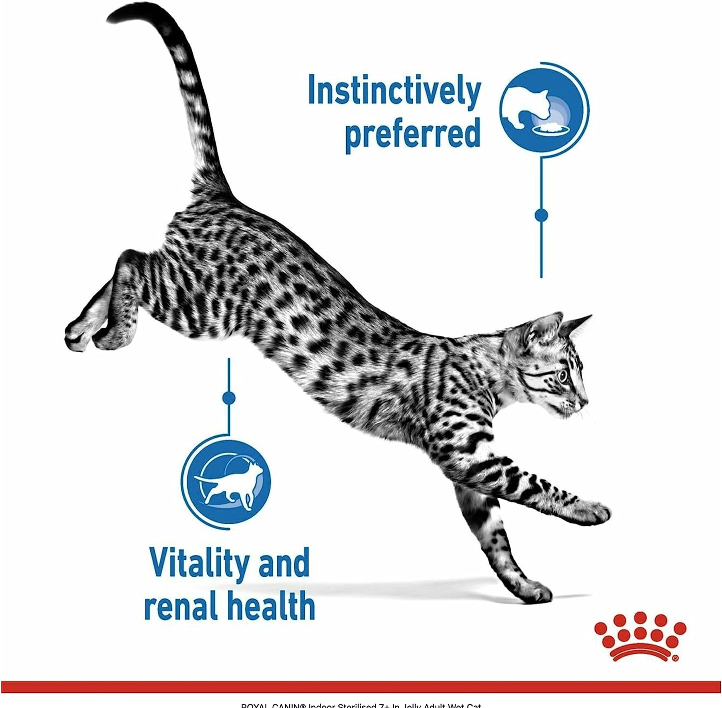 Royal Canin Adult Indoor 7+ Sterilised Jelly Wet Cat Food