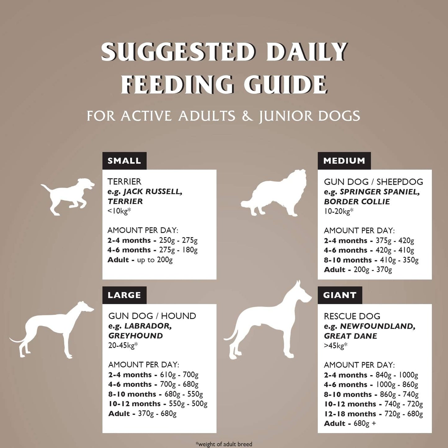 Dr John Grain Free Chicken and Potato Dry Dog Food