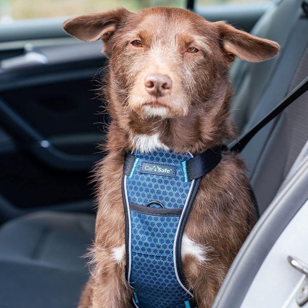 CarSafe Crash Tested Harness Small
