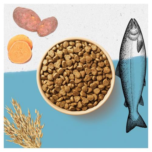 Purina Beyond Superfood Salmon and Potato 1.4KG