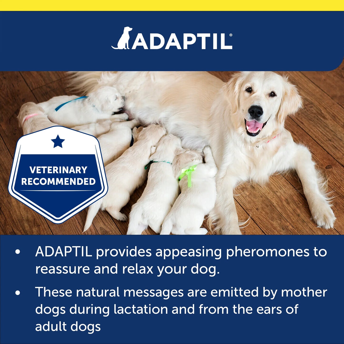 Adaptil Calming Transport Spray for Dogs 60ml