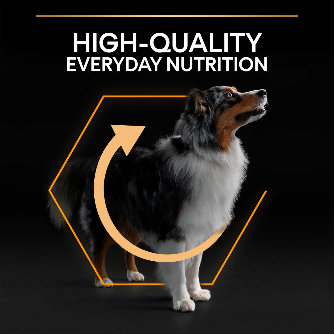 Pro Plan Adult Medium Everyday Nutrition Chicken Dry Dog Food