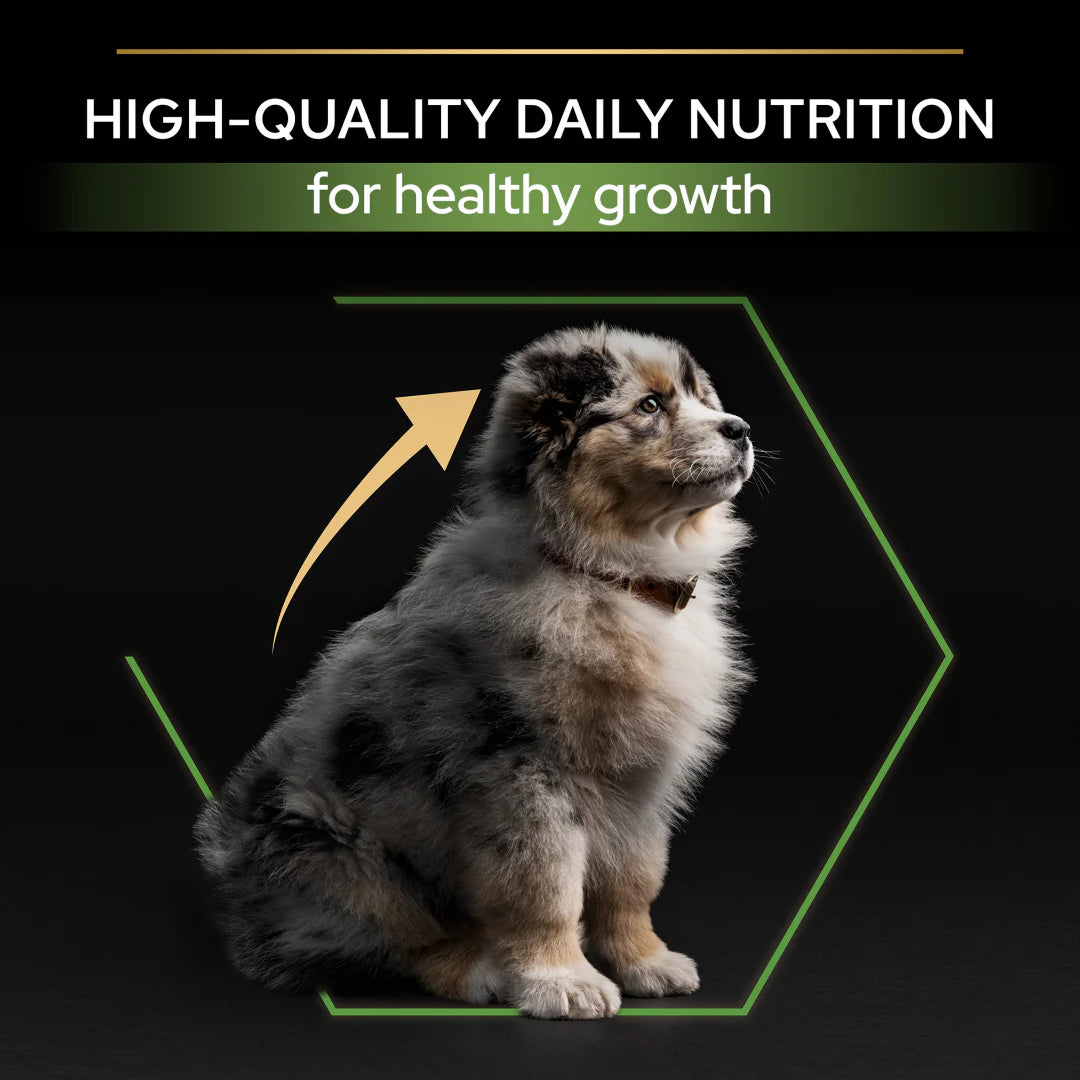 Pro Plan Medium Puppy Healthy Start Chicken Dry Dog Food