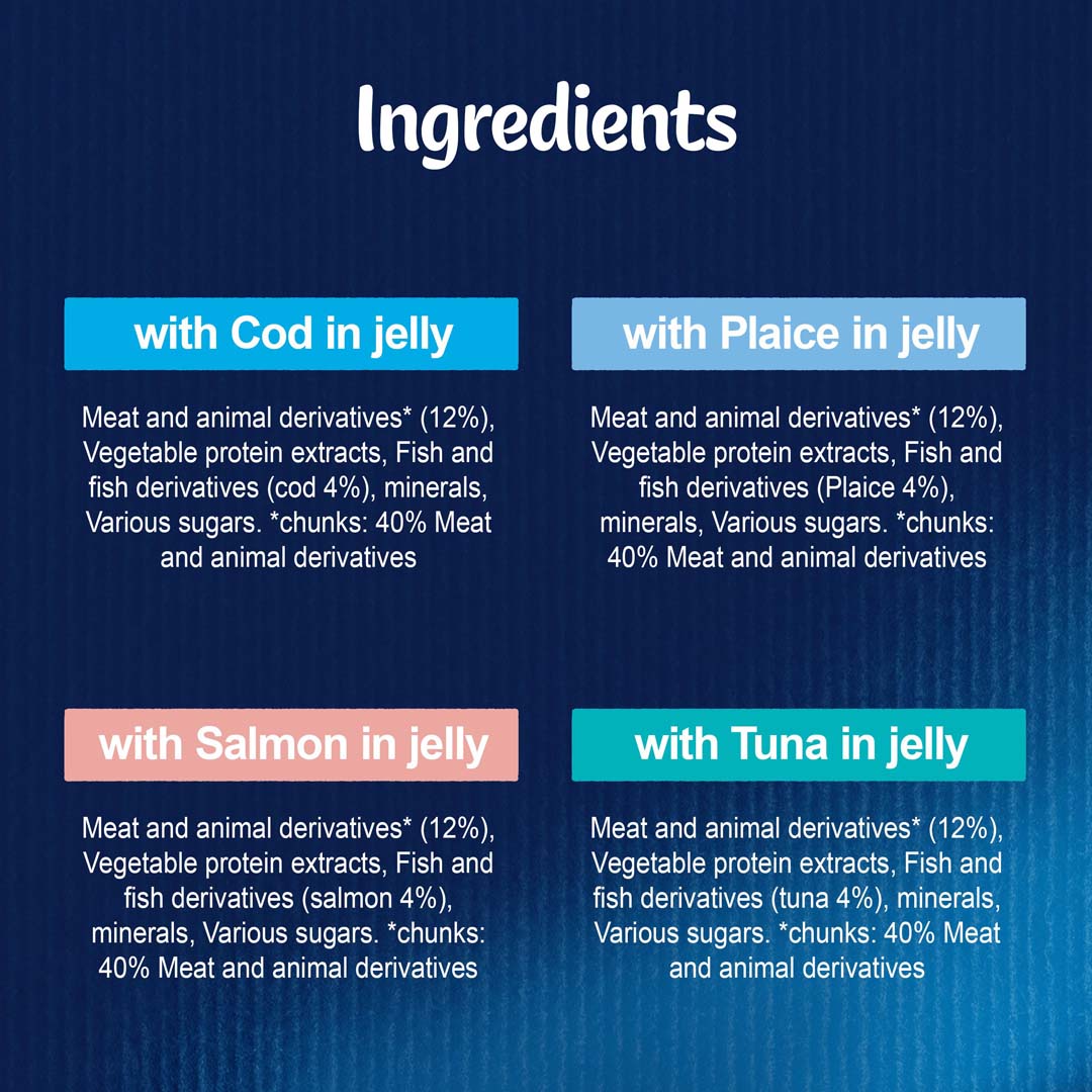 Felix Adult As Good As it Looks Ocean Feasts in Jelly Wet Cat Food 12 x 100g