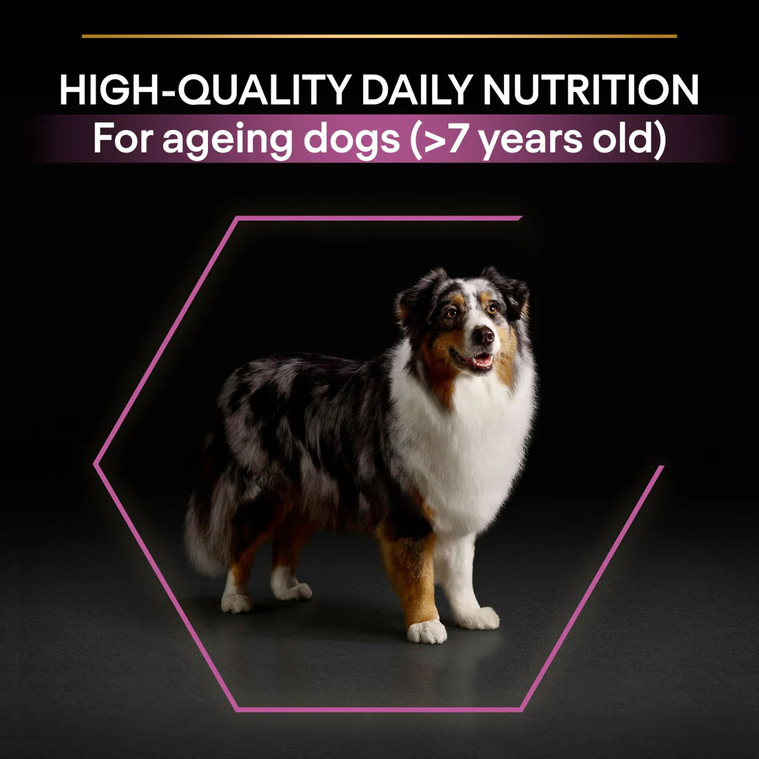 Pro Plan Medium and Large Adult 7+ Age Defence Chicken Dry Dog Food